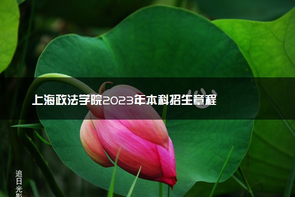 上海政法学院2023年本科招生章程