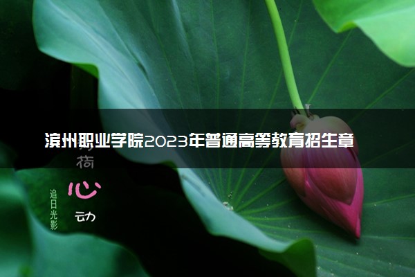 滨州职业学院2023年普通高等教育招生章程