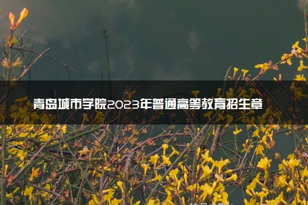 青岛城市学院2023年普通高等教育招生章程