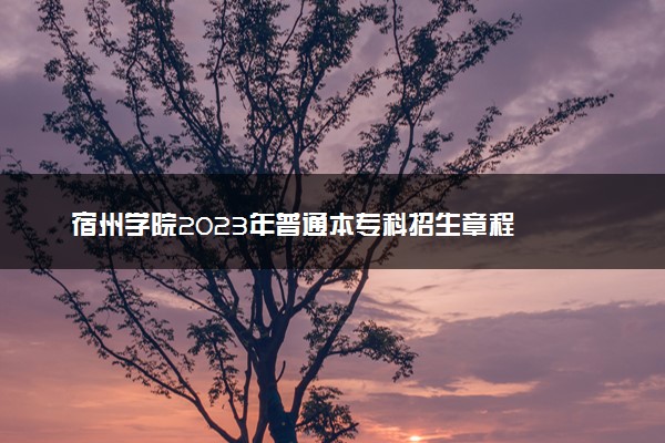 宿州学院2023年普通本专科招生章程