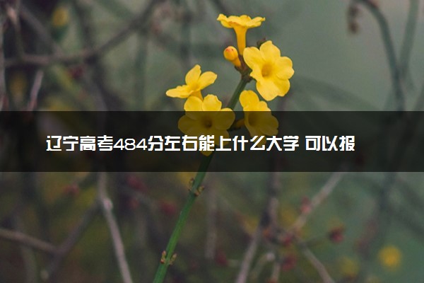 辽宁高考484分左右能上什么大学 可以报哪些公办院校(2023报考推荐)