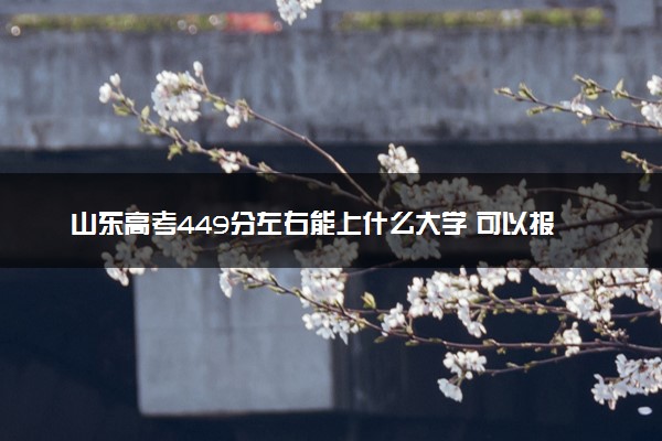 山东高考449分左右能上什么大学 可以报哪些公办院校(2023报考推荐)