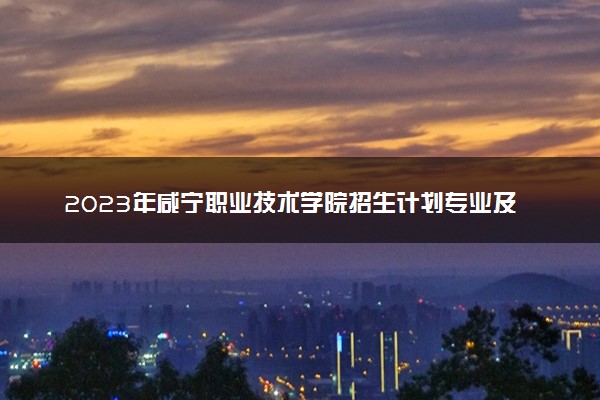 2023年咸宁职业技术学院招生计划专业及各省录取分数线位次