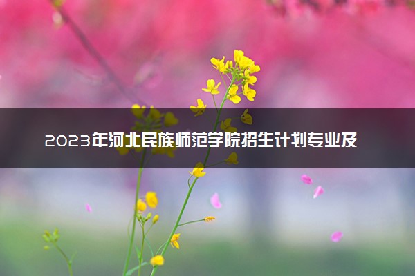 2023年河北民族师范学院招生计划专业及各省录取分数线位次