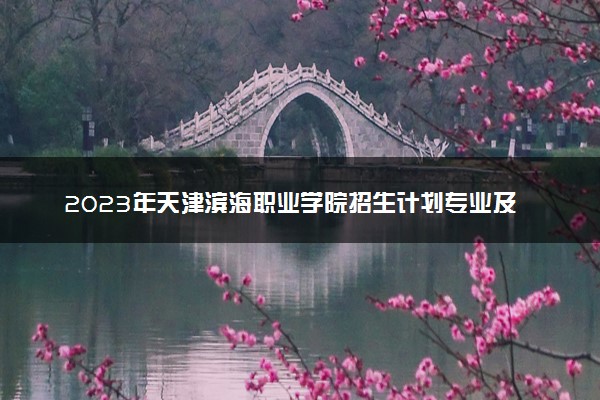 2023年天津滨海职业学院招生计划专业及各省录取分数线位次