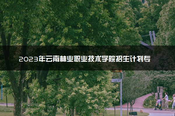 2023年云南林业职业技术学院招生计划专业及各省录取分数线位次