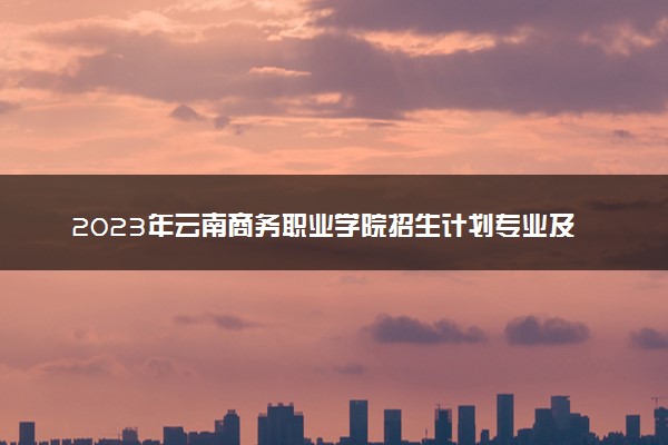 2023年云南商务职业学院招生计划专业及各省录取分数线位次