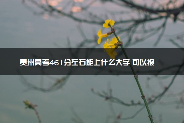 贵州高考461分左右能上什么大学 可以报哪些公办院校(2023报考推荐)