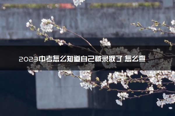 2023中考怎么知道自己被录取了 怎么查询