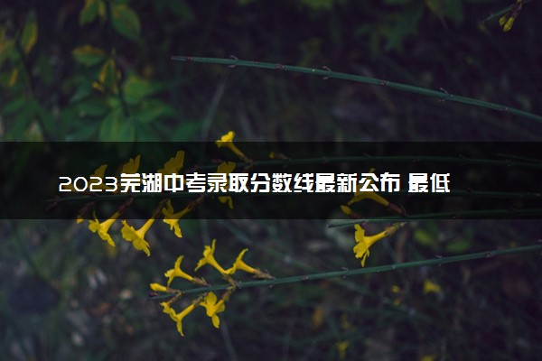 2023芜湖中考录取分数线最新公布 最低分数线出炉