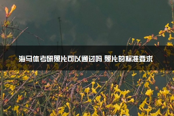 海马体考研照片可以通过吗 照片的标准要求是什么