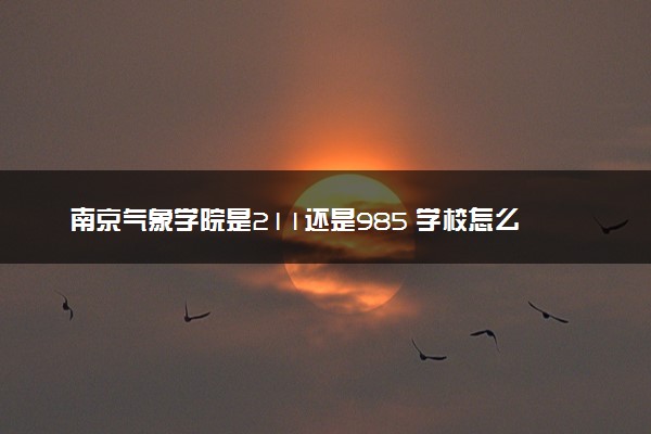 南京气象学院是211还是985 学校怎么样