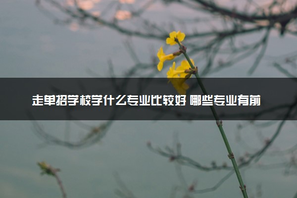 走单招学校学什么专业比较好 哪些专业有前途