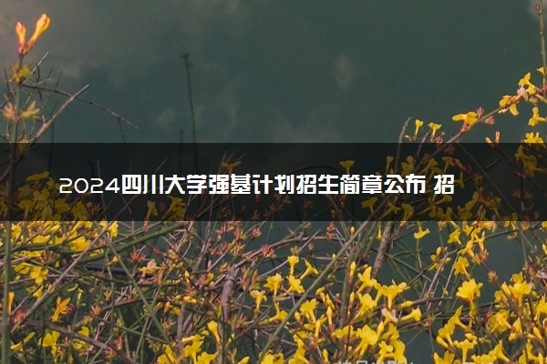 2024四川大学强基计划招生简章公布 招生计划及专业