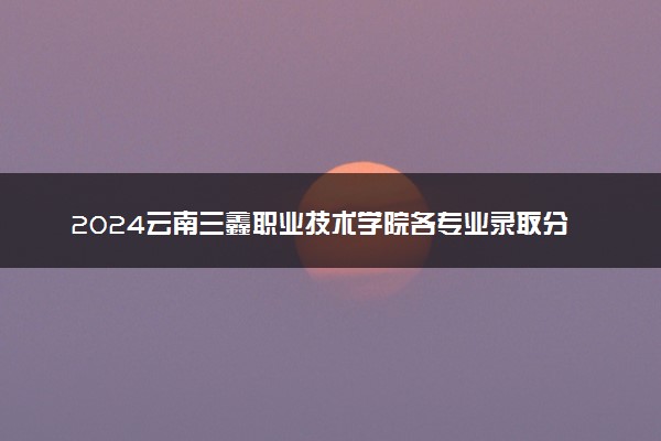 2024云南三鑫职业技术学院各专业录取分数线及位次 各省录取最低分是多少