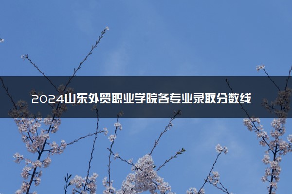 2024山东外贸职业学院各专业录取分数线及位次 各省录取最低分是多少