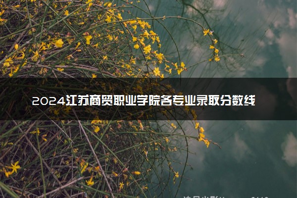 2024江苏商贸职业学院各专业录取分数线及位次 各省录取最低分是多少