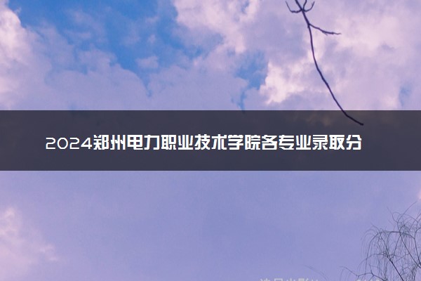 2024郑州电力职业技术学院各专业录取分数线及位次 各省录取最低分是多少