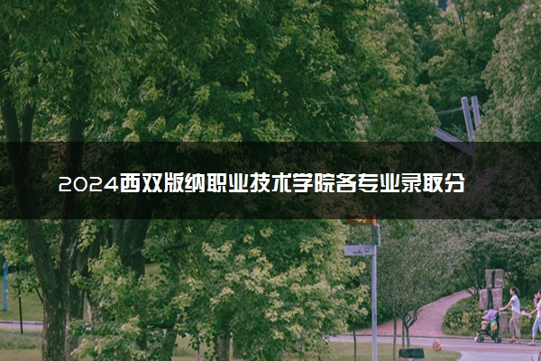 2024西双版纳职业技术学院各专业录取分数线及位次 各省录取最低分是多少