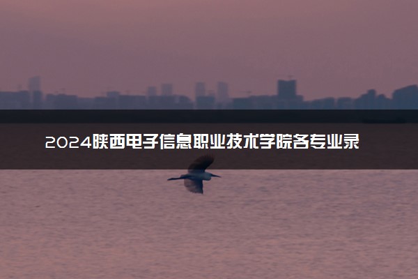 2024陕西电子信息职业技术学院各专业录取分数线及位次 各省录取最低分是多少