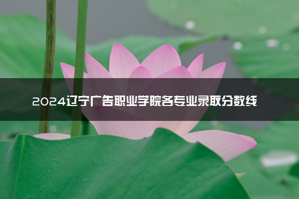 2024辽宁广告职业学院各专业录取分数线及位次 各省录取最低分是多少