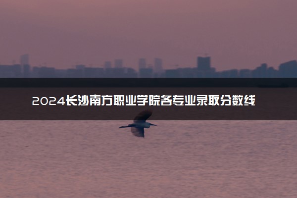 2024长沙南方职业学院各专业录取分数线及位次 各省录取最低分是多少