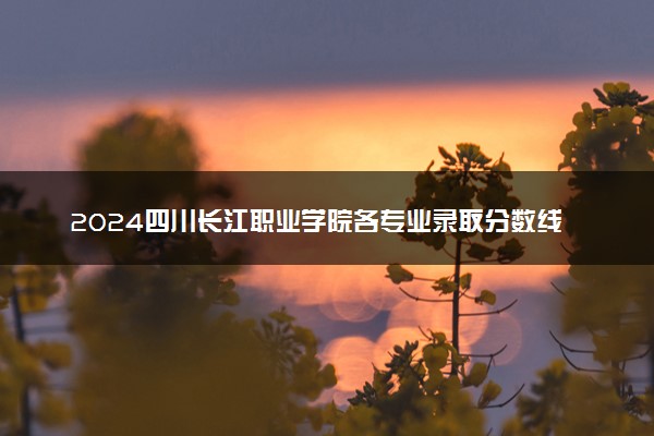 2024四川长江职业学院各专业录取分数线及位次 各省录取最低分是多少