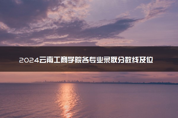 2024云南工商学院各专业录取分数线及位次 各省录取最低分是多少