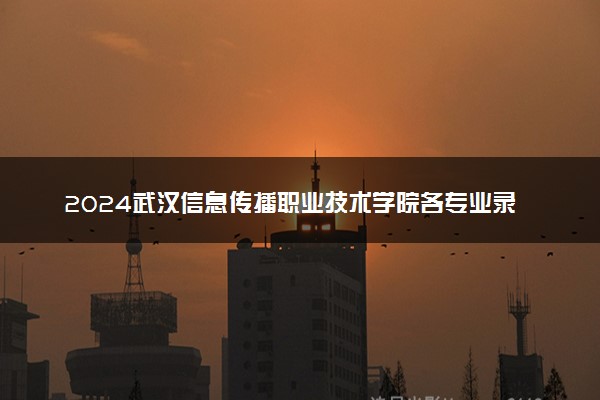 2024武汉信息传播职业技术学院各专业录取分数线及位次 各省录取最低分是多少