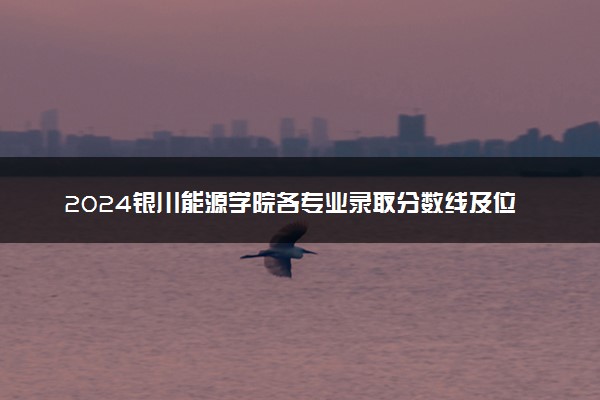 2024银川能源学院各专业录取分数线及位次 各省录取最低分是多少