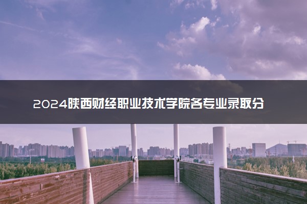 2024陕西财经职业技术学院各专业录取分数线及位次 各省录取最低分是多少