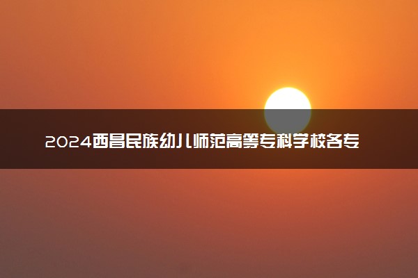 2024西昌民族幼儿师范高等专科学校各专业录取分数线及位次 各省录取最低分是多少