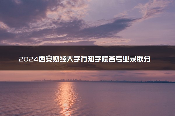 2024西安财经大学行知学院各专业录取分数线及位次 各省录取最低分是多少