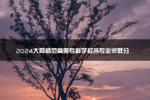 2024大同师范高等专科学校各专业录取分数线及位次 各省录取最低分是多少