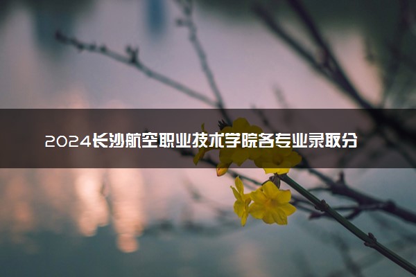 2024长沙航空职业技术学院各专业录取分数线及位次 各省录取最低分是多少