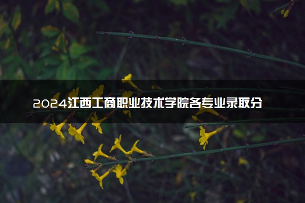 2024江西工商职业技术学院各专业录取分数线及位次 各省录取最低分是多少