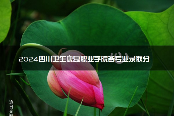 2024四川卫生康复职业学院各专业录取分数线及位次 各省录取最低分是多少