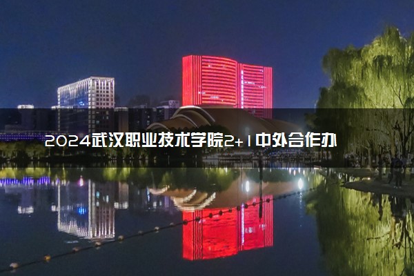 2024武汉职业技术学院2+1中外合作办学专业有哪些
