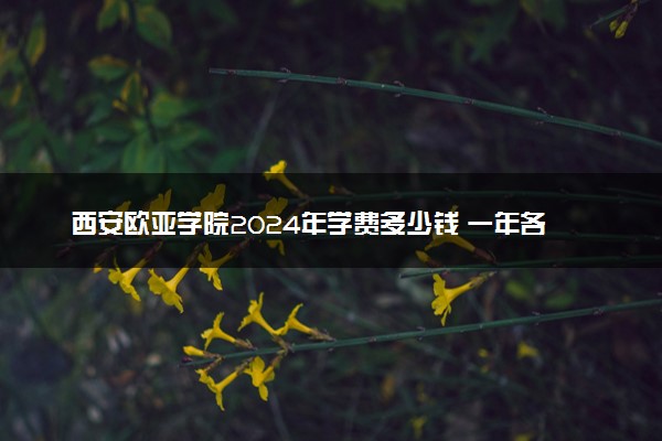 西安欧亚学院2024年学费多少钱 一年各专业收费标准