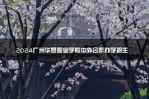 2024广州华夏职业学院中外合作办学招生专业及计划