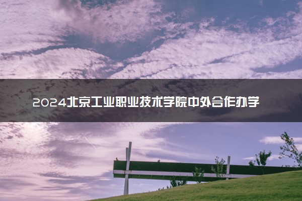 2024北京工业职业技术学院中外合作办学专业学费多少钱