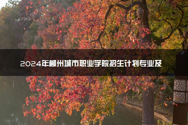 2024年柳州城市职业学院招生计划专业及各省录取分数线位次