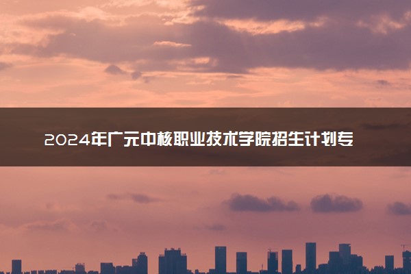 2024年广元中核职业技术学院招生计划专业及各省录取分数线位次