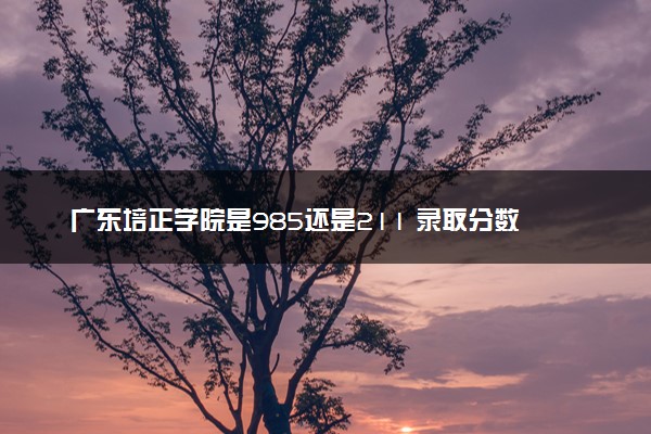 广东培正学院是985还是211 录取分数线是多少
