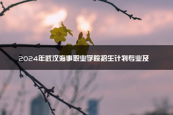 2024年武汉海事职业学院招生计划专业及各省录取分数线位次
