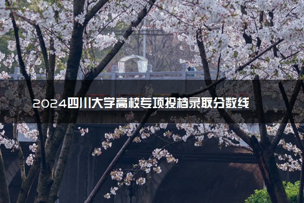 2024四川大学高校专项投档录取分数线