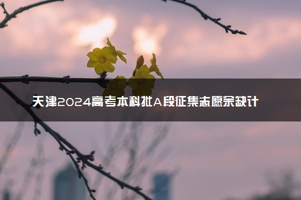 天津2024高考本科批A段征集志愿余缺计划表公布