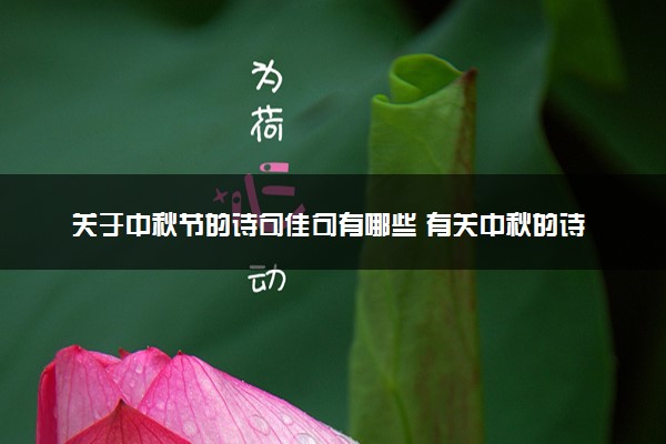 关于中秋节的诗句佳句有哪些 有关中秋的诗句素材