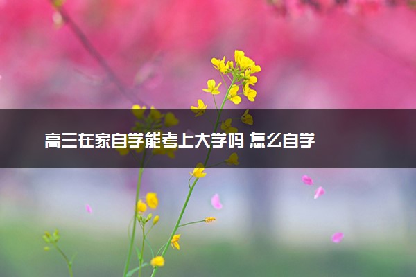 高三在家自学能考上大学吗 怎么自学