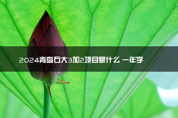 2024青岛石大3加2项目是什么 一年学费究竟多少